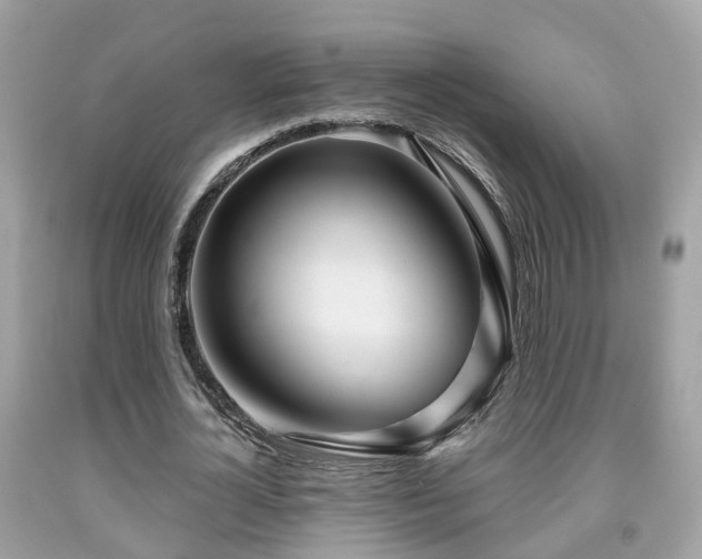 X0000091990724200709131453