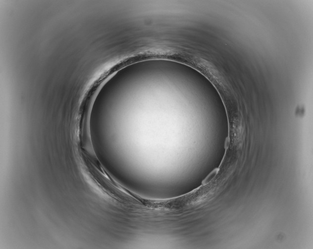 X0000091990726200709131453
