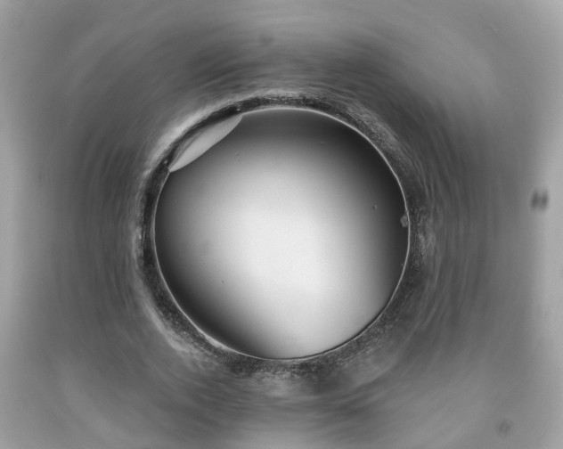 X0000091990728200709131453