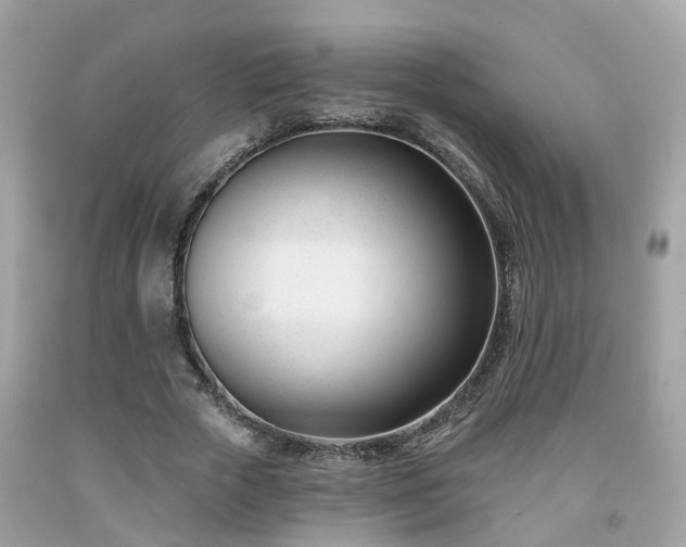 X0000091990729200709131453