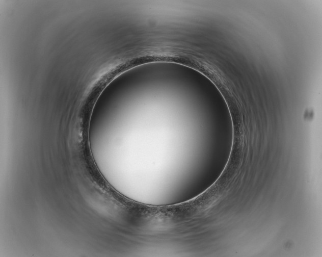 X0000091990731200709131453