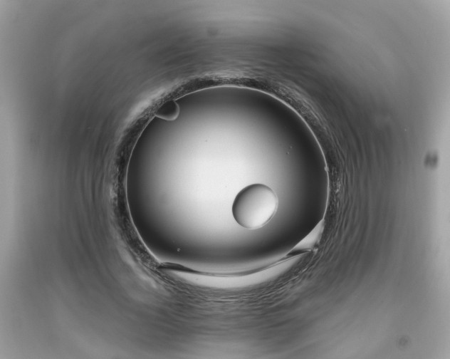X0000091990732200709131453