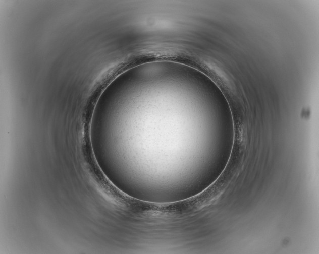 X0000091990733200709131453