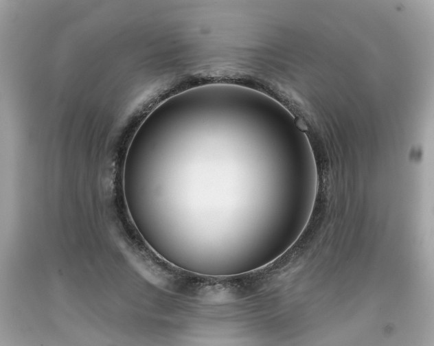 X0000091990735200709131453