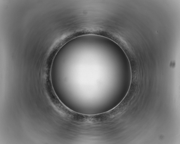 X0000091990736200709131453
