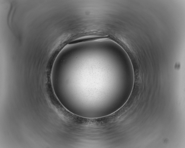 X0000091990738200709131453