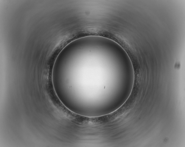 X0000091990739200709131453