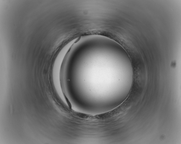 X0000091990742200709131453