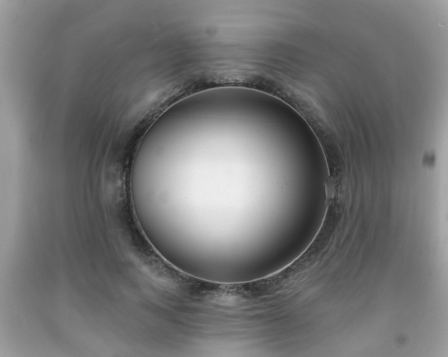X0000091990743200709131453