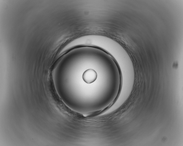 X0000091990744200709131453