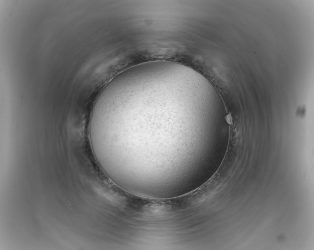 X0000091990745200709131453