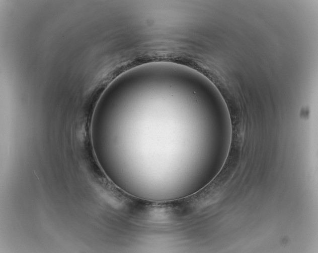 X0000091990746200709131453