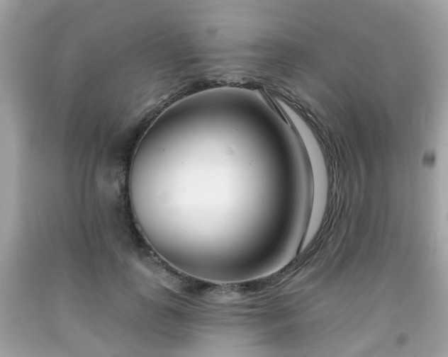 X0000091990747200709131453