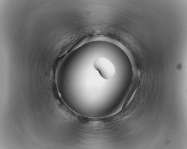 X0000091990748200709131453