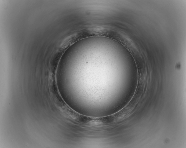 X0000091990749200709131453