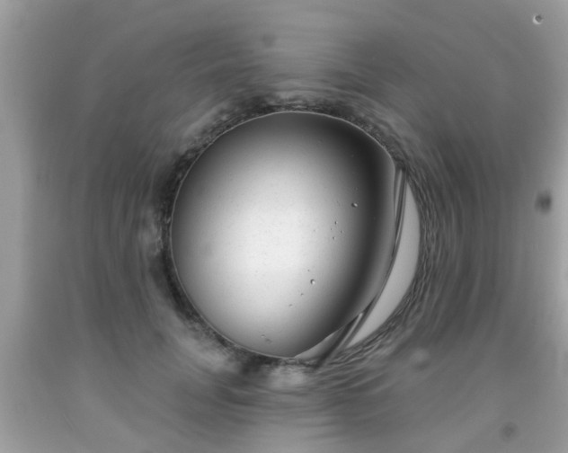 X0000091990751200709131453