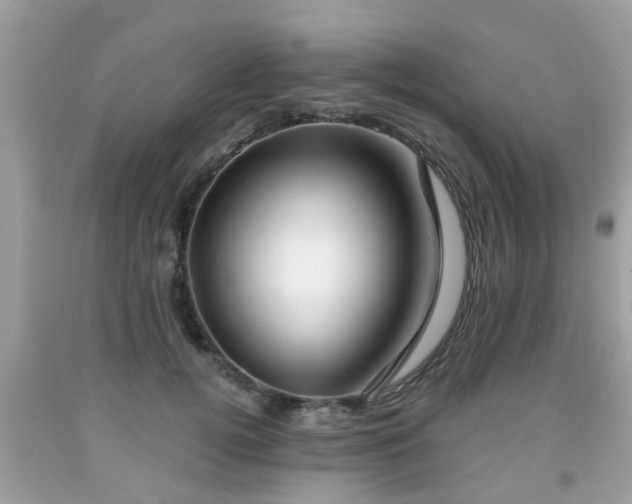 X0000091990752200709131453