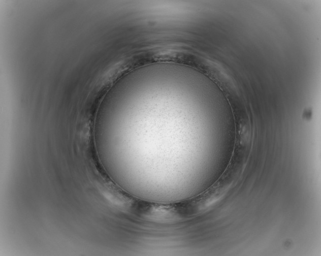 X0000091990753200709131453