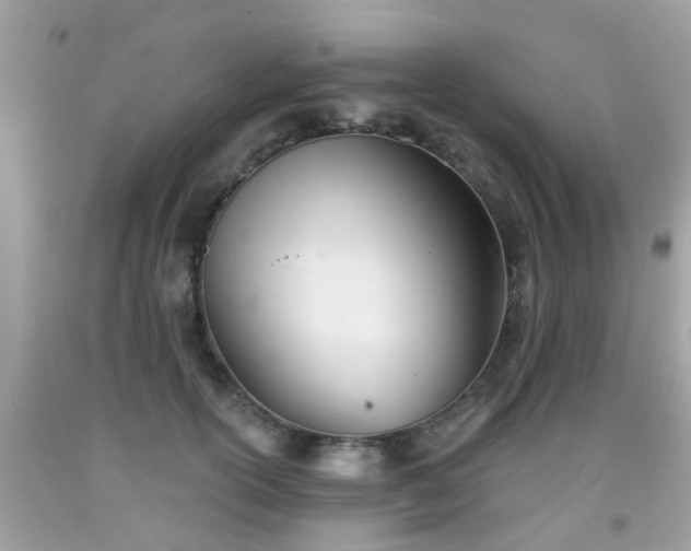 X0000091990754200709131453