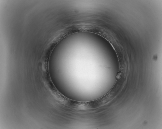 X0000091990755200709131453