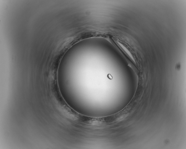 X0000091990756200709131453