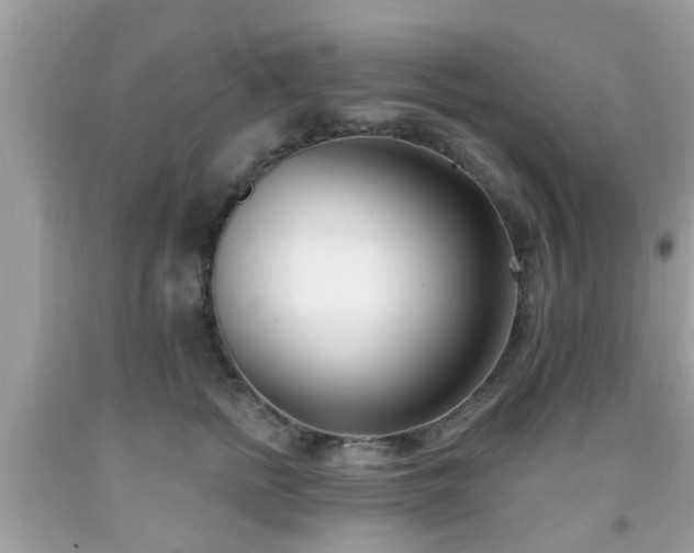 X0000091990758200709131453
