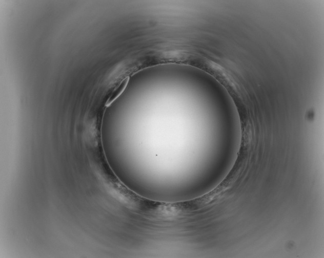 X0000091990764200709131453