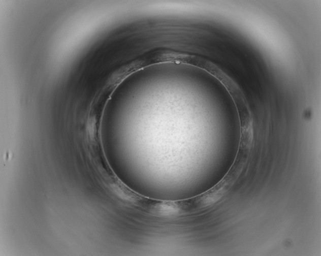 X0000091990765200709131453
