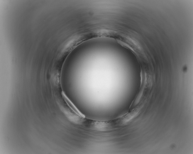 X0000091990766200709131453