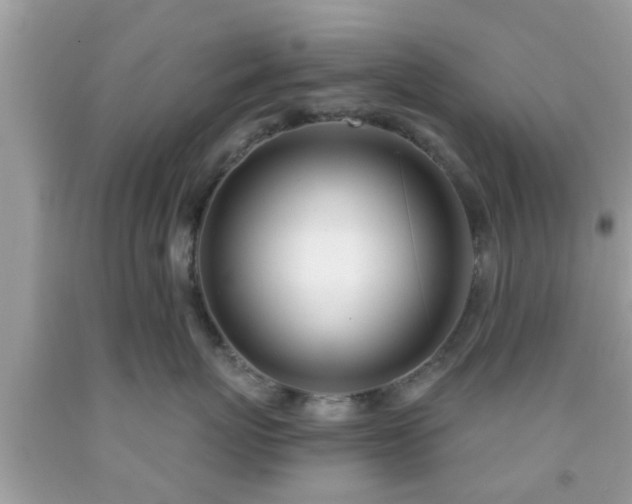 X0000091990767200709131453