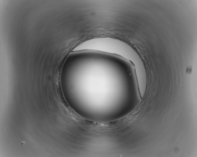 X0000091990768200709131453