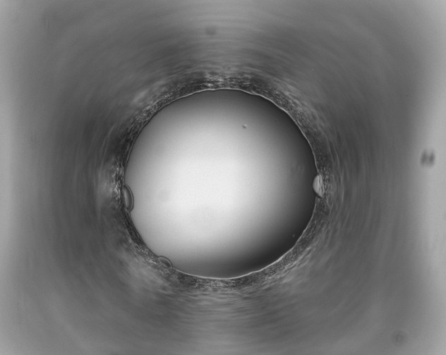 X0000091990770200709131453