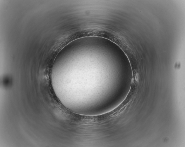 X0000091990771200709131453