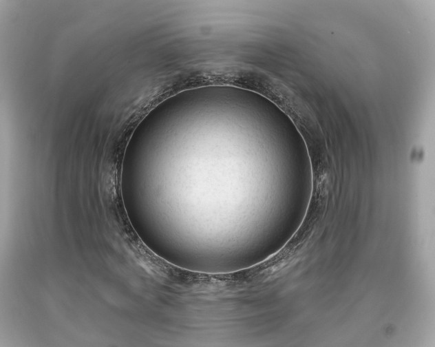 X0000091990772200709131453