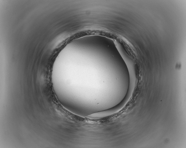 X0000091990775200709131453