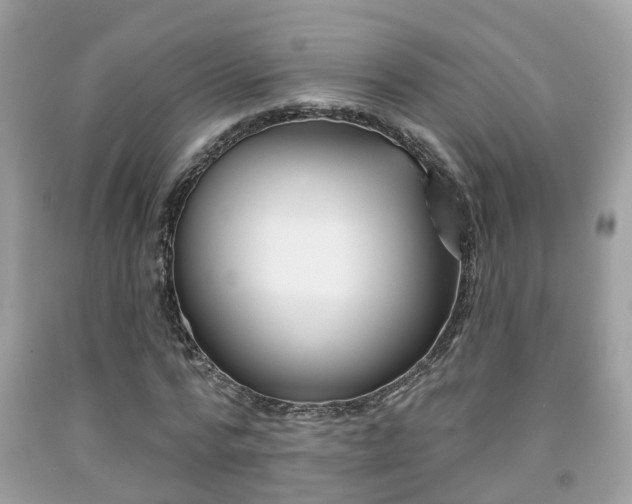X0000091990776200709131453