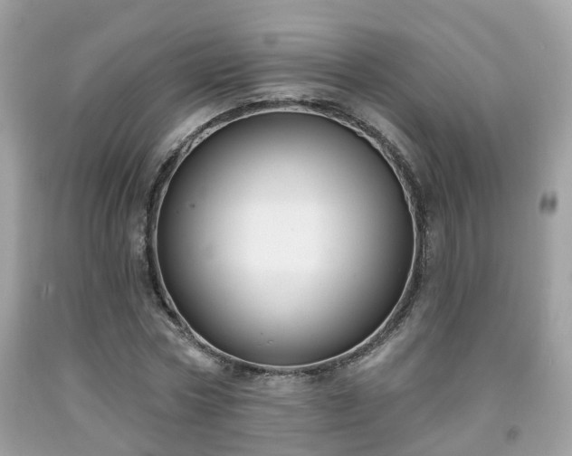X0000091990778200709131453