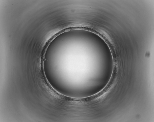 X0000091990781200709131453