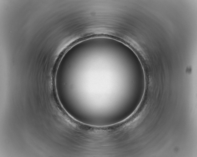 X0000091990782200709131453