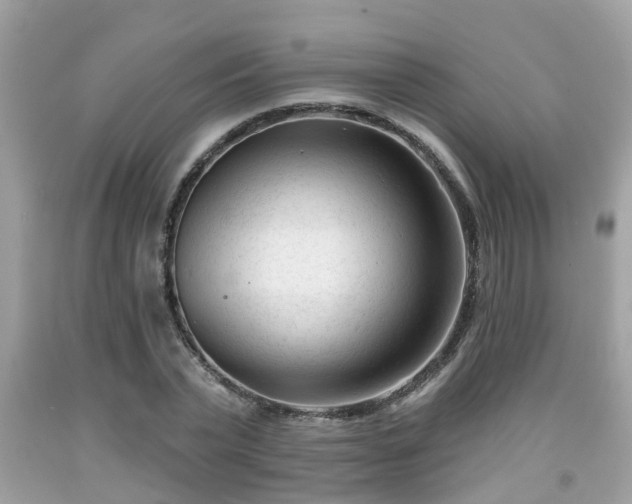 X0000091990783200709131453