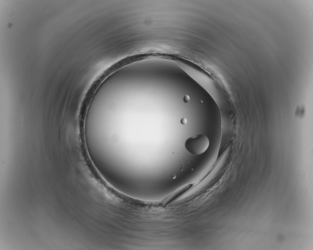 X0000091990784200709131453