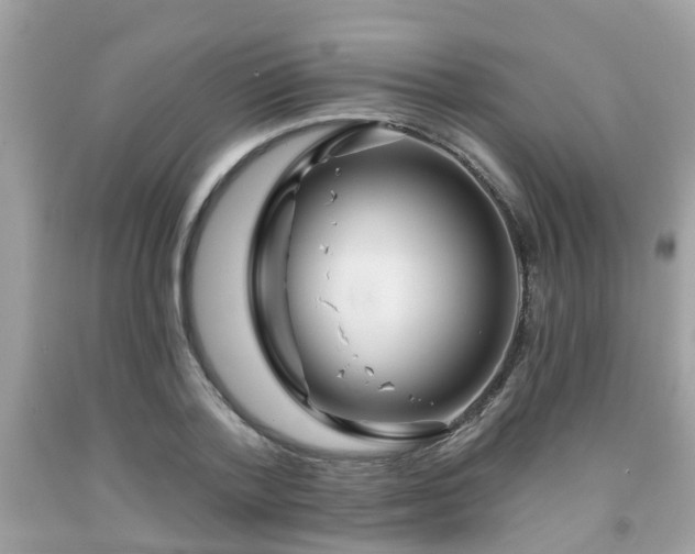 X0000091990788200709131453