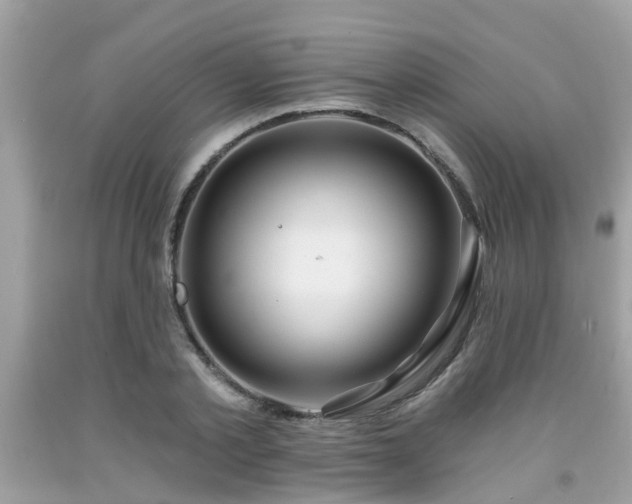 X0000091990789200709131453