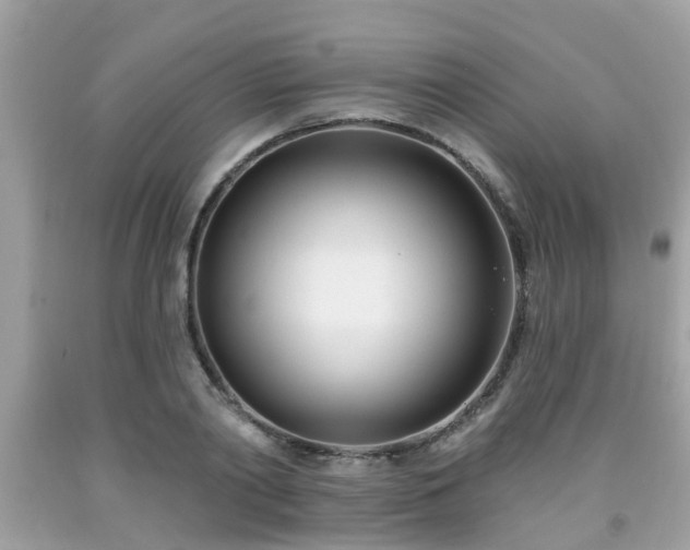 X0000091990790200709131453