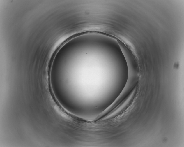 X0000091990792200709131453