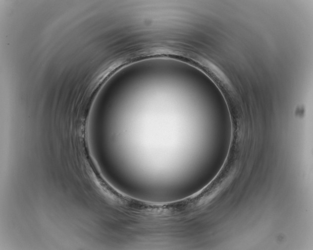 X0000091990793200709131453