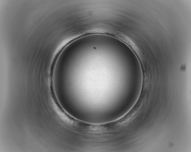 X0000091990795200709131453