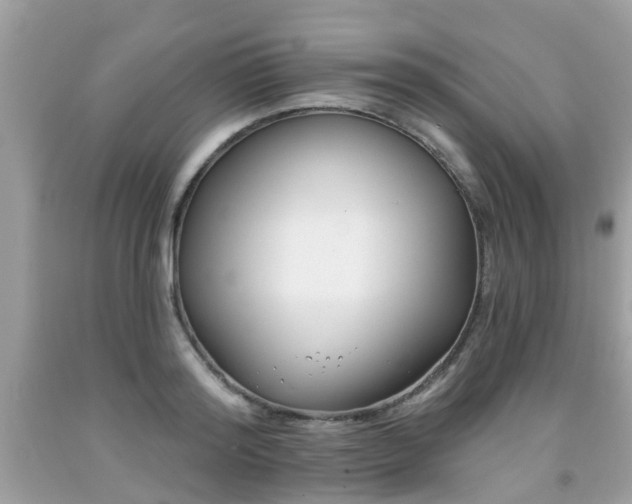 X0000091990796200709131453