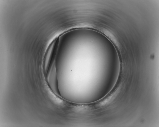 X0000091990797200709131453