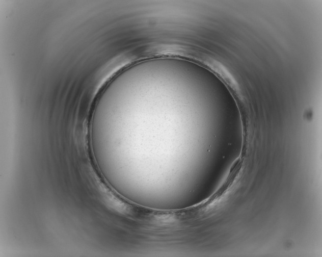 X0000091990798200709131453